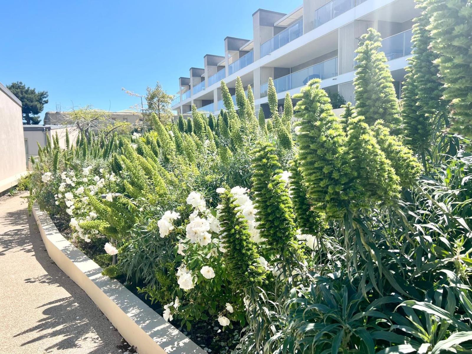 Panoramic Sea View Appartment Blue Pearl Nizza Exterior foto